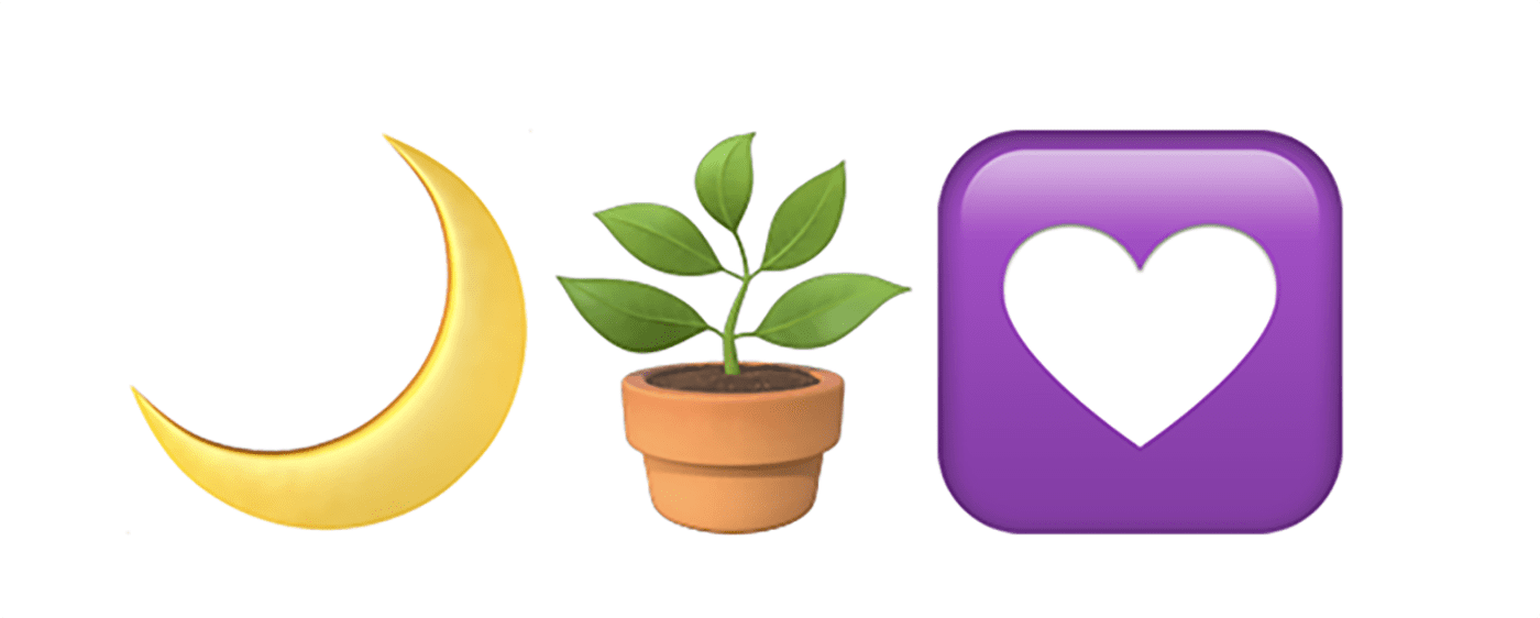 The 3 emojis that describe Halal Hemp, the company changing the way the Muslim community views the hemp plant, are moon, plant, and heart.