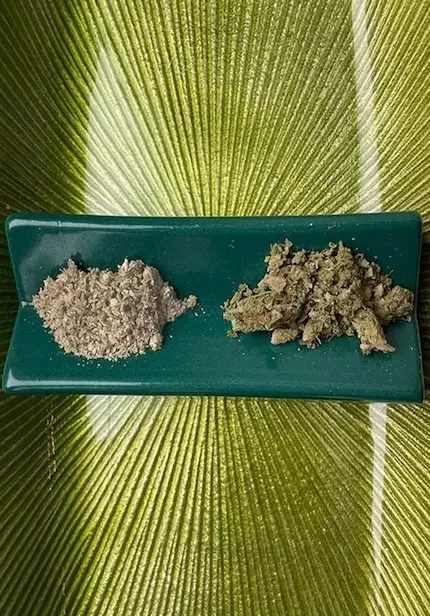 Here's what the best cannabis looks like compared to old cannabis