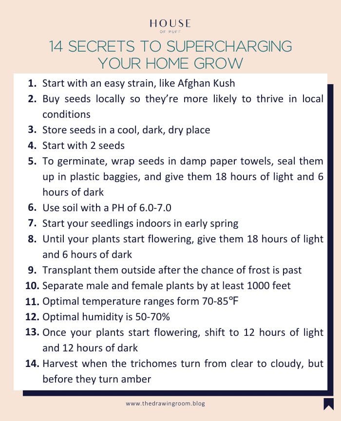 14 Secrets to Supercharging Your Home Grow