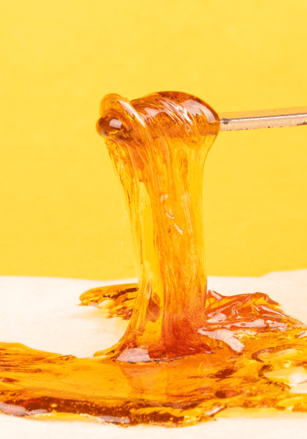 Live resin is the most flavorful of the cannabis concentrates.