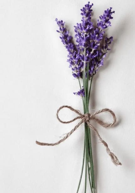 The benefits of linalool are what makes lavender so soothing.